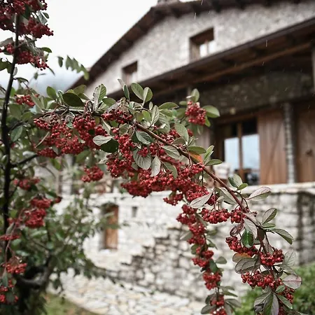 Petrina Theohari * Lekhouri