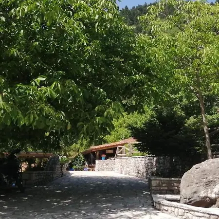 Petrina Theohari Lekhouri