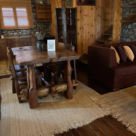 Petrina Theohari Lekhouri