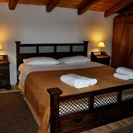 Σαλέ Petrina Theohari