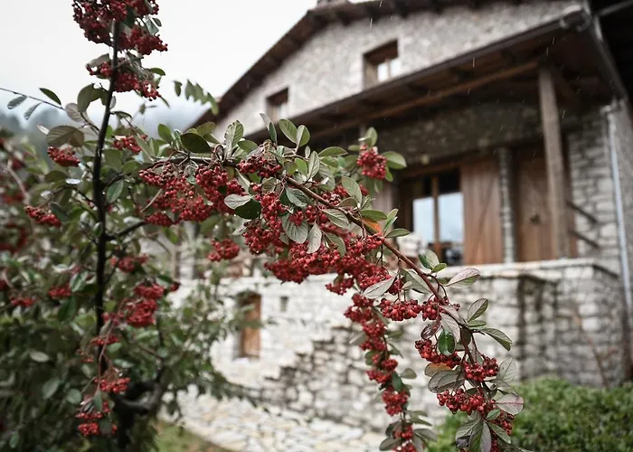 Petrina Theohari * Lekhouri