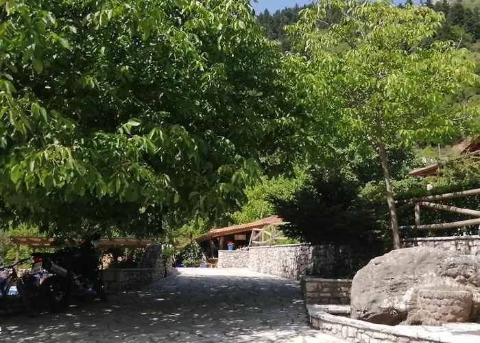 Petrina Theohari Lekhouri