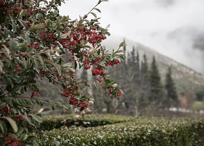 Chalet Petrina Theohari Lekhouri